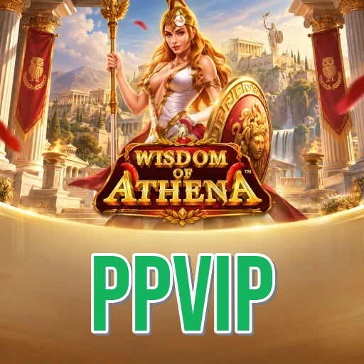 Screenshot 3 - ppvip Settings